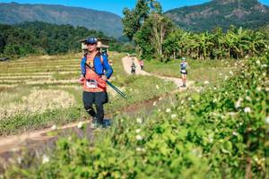 BIB: 
                            <button type="button" onclick="openModal(26690367)" class="btn btn-primary btn-sm float-right btn-popup" data-toggle="modal" data-target=".modal-high-quality">
                        <i class="fas fa-shopping-cart"></i> Add to Cart
                    </button>
                                            <button type="button" onclick="isThisMe(26690367, true)" class="btn btn-success btn-sm float-right btn-popup btn-isme hidden" data-toggle="tooltip" data-placement="bottom" title="นี่คือรูปของคุณใช่ไหม คลิกที่นี่เพื่อเอาเข้าอัลบั้ม">
                        <i class="fas fa-plus"></i> Add to album
                    </button>
                    <button type="button" onclick="isThisMe(26690367, false)" class="btn btn-warning btn-sm float-right btn-popup btn-isnotme hidden">
                        <i class="fas fa-ban"></i> Remove from album
                    </button>