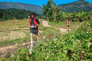 BIB: 
                            <button type="button" onclick="openModal(26691397)" class="btn btn-primary btn-sm float-right btn-popup" data-toggle="modal" data-target=".modal-high-quality">
                        <i class="fas fa-shopping-cart"></i> Add to Cart
                    </button>
                                            <button type="button" onclick="isThisMe(26691397, true)" class="btn btn-success btn-sm float-right btn-popup btn-isme hidden" data-toggle="tooltip" data-placement="bottom" title="นี่คือรูปของคุณใช่ไหม คลิกที่นี่เพื่อเอาเข้าอัลบั้ม">
                        <i class="fas fa-plus"></i> Add to album
                    </button>
                    <button type="button" onclick="isThisMe(26691397, false)" class="btn btn-warning btn-sm float-right btn-popup btn-isnotme hidden">
                        <i class="fas fa-ban"></i> Remove from album
                    </button>