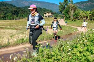 BIB: 
                            <button type="button" onclick="openModal(26689921)" class="btn btn-primary btn-sm float-right btn-popup" data-toggle="modal" data-target=".modal-high-quality">
                        <i class="fas fa-shopping-cart"></i> Add to Cart
                    </button>
                                            <button type="button" onclick="isThisMe(26689921, true)" class="btn btn-success btn-sm float-right btn-popup btn-isme hidden" data-toggle="tooltip" data-placement="bottom" title="นี่คือรูปของคุณใช่ไหม คลิกที่นี่เพื่อเอาเข้าอัลบั้ม">
                        <i class="fas fa-plus"></i> Add to album
                    </button>
                    <button type="button" onclick="isThisMe(26689921, false)" class="btn btn-warning btn-sm float-right btn-popup btn-isnotme hidden">
                        <i class="fas fa-ban"></i> Remove from album
                    </button>