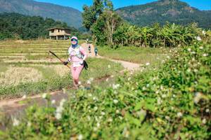 BIB: 
                            <button type="button" onclick="openModal(26691050)" class="btn btn-primary btn-sm float-right btn-popup" data-toggle="modal" data-target=".modal-high-quality">
                        <i class="fas fa-shopping-cart"></i> Add to Cart
                    </button>
                                            <button type="button" onclick="isThisMe(26691050, true)" class="btn btn-success btn-sm float-right btn-popup btn-isme hidden" data-toggle="tooltip" data-placement="bottom" title="นี่คือรูปของคุณใช่ไหม คลิกที่นี่เพื่อเอาเข้าอัลบั้ม">
                        <i class="fas fa-plus"></i> Add to album
                    </button>
                    <button type="button" onclick="isThisMe(26691050, false)" class="btn btn-warning btn-sm float-right btn-popup btn-isnotme hidden">
                        <i class="fas fa-ban"></i> Remove from album
                    </button>