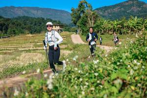 BIB: 
                            <button type="button" onclick="openModal(26691542)" class="btn btn-primary btn-sm float-right btn-popup" data-toggle="modal" data-target=".modal-high-quality">
                        <i class="fas fa-shopping-cart"></i> Add to Cart
                    </button>
                                            <button type="button" onclick="isThisMe(26691542, true)" class="btn btn-success btn-sm float-right btn-popup btn-isme hidden" data-toggle="tooltip" data-placement="bottom" title="นี่คือรูปของคุณใช่ไหม คลิกที่นี่เพื่อเอาเข้าอัลบั้ม">
                        <i class="fas fa-plus"></i> Add to album
                    </button>
                    <button type="button" onclick="isThisMe(26691542, false)" class="btn btn-warning btn-sm float-right btn-popup btn-isnotme hidden">
                        <i class="fas fa-ban"></i> Remove from album
                    </button>