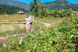 BIB: 
                            <button type="button" onclick="openModal(26691049)" class="btn btn-primary btn-sm float-right btn-popup" data-toggle="modal" data-target=".modal-high-quality">
                        <i class="fas fa-shopping-cart"></i> Add to Cart
                    </button>
                                            <button type="button" onclick="isThisMe(26691049, true)" class="btn btn-success btn-sm float-right btn-popup btn-isme hidden" data-toggle="tooltip" data-placement="bottom" title="นี่คือรูปของคุณใช่ไหม คลิกที่นี่เพื่อเอาเข้าอัลบั้ม">
                        <i class="fas fa-plus"></i> Add to album
                    </button>
                    <button type="button" onclick="isThisMe(26691049, false)" class="btn btn-warning btn-sm float-right btn-popup btn-isnotme hidden">
                        <i class="fas fa-ban"></i> Remove from album
                    </button>