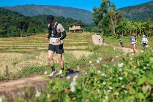 BIB: 
                            <button type="button" onclick="openModal(26691509)" class="btn btn-primary btn-sm float-right btn-popup" data-toggle="modal" data-target=".modal-high-quality">
                        <i class="fas fa-shopping-cart"></i> Add to Cart
                    </button>
                                            <button type="button" onclick="isThisMe(26691509, true)" class="btn btn-success btn-sm float-right btn-popup btn-isme hidden" data-toggle="tooltip" data-placement="bottom" title="นี่คือรูปของคุณใช่ไหม คลิกที่นี่เพื่อเอาเข้าอัลบั้ม">
                        <i class="fas fa-plus"></i> Add to album
                    </button>
                    <button type="button" onclick="isThisMe(26691509, false)" class="btn btn-warning btn-sm float-right btn-popup btn-isnotme hidden">
                        <i class="fas fa-ban"></i> Remove from album
                    </button>