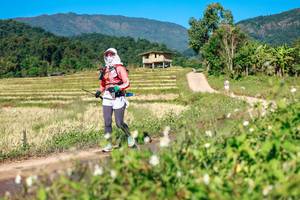 BIB: 
                            <button type="button" onclick="openModal(26690756)" class="btn btn-primary btn-sm float-right btn-popup" data-toggle="modal" data-target=".modal-high-quality">
                        <i class="fas fa-shopping-cart"></i> Add to Cart
                    </button>
                                            <button type="button" onclick="isThisMe(26690756, true)" class="btn btn-success btn-sm float-right btn-popup btn-isme hidden" data-toggle="tooltip" data-placement="bottom" title="นี่คือรูปของคุณใช่ไหม คลิกที่นี่เพื่อเอาเข้าอัลบั้ม">
                        <i class="fas fa-plus"></i> Add to album
                    </button>
                    <button type="button" onclick="isThisMe(26690756, false)" class="btn btn-warning btn-sm float-right btn-popup btn-isnotme hidden">
                        <i class="fas fa-ban"></i> Remove from album
                    </button>