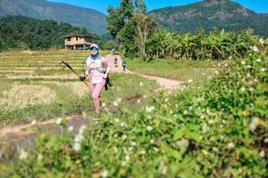 BIB: 
                            <button type="button" onclick="openModal(26691052)" class="btn btn-primary btn-sm float-right btn-popup" data-toggle="modal" data-target=".modal-high-quality">
                        <i class="fas fa-shopping-cart"></i> Add to Cart
                    </button>
                                            <button type="button" onclick="isThisMe(26691052, true)" class="btn btn-success btn-sm float-right btn-popup btn-isme hidden" data-toggle="tooltip" data-placement="bottom" title="นี่คือรูปของคุณใช่ไหม คลิกที่นี่เพื่อเอาเข้าอัลบั้ม">
                        <i class="fas fa-plus"></i> Add to album
                    </button>
                    <button type="button" onclick="isThisMe(26691052, false)" class="btn btn-warning btn-sm float-right btn-popup btn-isnotme hidden">
                        <i class="fas fa-ban"></i> Remove from album
                    </button>