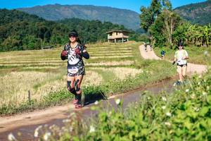 BIB: 
                            <button type="button" onclick="openModal(26689934)" class="btn btn-primary btn-sm float-right btn-popup" data-toggle="modal" data-target=".modal-high-quality">
                        <i class="fas fa-shopping-cart"></i> Add to Cart
                    </button>
                                            <button type="button" onclick="isThisMe(26689934, true)" class="btn btn-success btn-sm float-right btn-popup btn-isme hidden" data-toggle="tooltip" data-placement="bottom" title="นี่คือรูปของคุณใช่ไหม คลิกที่นี่เพื่อเอาเข้าอัลบั้ม">
                        <i class="fas fa-plus"></i> Add to album
                    </button>
                    <button type="button" onclick="isThisMe(26689934, false)" class="btn btn-warning btn-sm float-right btn-popup btn-isnotme hidden">
                        <i class="fas fa-ban"></i> Remove from album
                    </button>