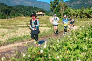 BIB: 
                            <button type="button" onclick="openModal(26690647)" class="btn btn-primary btn-sm float-right btn-popup" data-toggle="modal" data-target=".modal-high-quality">
                        <i class="fas fa-shopping-cart"></i> Add to Cart
                    </button>
                                            <button type="button" onclick="isThisMe(26690647, true)" class="btn btn-success btn-sm float-right btn-popup btn-isme hidden" data-toggle="tooltip" data-placement="bottom" title="นี่คือรูปของคุณใช่ไหม คลิกที่นี่เพื่อเอาเข้าอัลบั้ม">
                        <i class="fas fa-plus"></i> Add to album
                    </button>
                    <button type="button" onclick="isThisMe(26690647, false)" class="btn btn-warning btn-sm float-right btn-popup btn-isnotme hidden">
                        <i class="fas fa-ban"></i> Remove from album
                    </button>