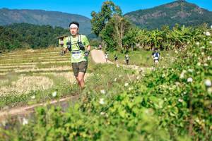 BIB: 
                            <button type="button" onclick="openModal(26690220)" class="btn btn-primary btn-sm float-right btn-popup" data-toggle="modal" data-target=".modal-high-quality">
                        <i class="fas fa-shopping-cart"></i> Add to Cart
                    </button>
                                            <button type="button" onclick="isThisMe(26690220, true)" class="btn btn-success btn-sm float-right btn-popup btn-isme hidden" data-toggle="tooltip" data-placement="bottom" title="นี่คือรูปของคุณใช่ไหม คลิกที่นี่เพื่อเอาเข้าอัลบั้ม">
                        <i class="fas fa-plus"></i> Add to album
                    </button>
                    <button type="button" onclick="isThisMe(26690220, false)" class="btn btn-warning btn-sm float-right btn-popup btn-isnotme hidden">
                        <i class="fas fa-ban"></i> Remove from album
                    </button>