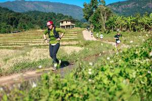 BIB: 
                            <button type="button" onclick="openModal(26690158)" class="btn btn-primary btn-sm float-right btn-popup" data-toggle="modal" data-target=".modal-high-quality">
                        <i class="fas fa-shopping-cart"></i> Add to Cart
                    </button>
                                            <button type="button" onclick="isThisMe(26690158, true)" class="btn btn-success btn-sm float-right btn-popup btn-isme hidden" data-toggle="tooltip" data-placement="bottom" title="นี่คือรูปของคุณใช่ไหม คลิกที่นี่เพื่อเอาเข้าอัลบั้ม">
                        <i class="fas fa-plus"></i> Add to album
                    </button>
                    <button type="button" onclick="isThisMe(26690158, false)" class="btn btn-warning btn-sm float-right btn-popup btn-isnotme hidden">
                        <i class="fas fa-ban"></i> Remove from album
                    </button>