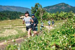 BIB: 
                            <button type="button" onclick="openModal(26680451)" class="btn btn-primary btn-sm float-right btn-popup" data-toggle="modal" data-target=".modal-high-quality">
                        <i class="fas fa-shopping-cart"></i> Add to Cart
                    </button>
                                            <button type="button" onclick="isThisMe(26680451, true)" class="btn btn-success btn-sm float-right btn-popup btn-isme hidden" data-toggle="tooltip" data-placement="bottom" title="นี่คือรูปของคุณใช่ไหม คลิกที่นี่เพื่อเอาเข้าอัลบั้ม">
                        <i class="fas fa-plus"></i> Add to album
                    </button>
                    <button type="button" onclick="isThisMe(26680451, false)" class="btn btn-warning btn-sm float-right btn-popup btn-isnotme hidden">
                        <i class="fas fa-ban"></i> Remove from album
                    </button>