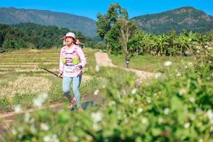 BIB: 
                            <button type="button" onclick="openModal(26693040)" class="btn btn-primary btn-sm float-right btn-popup" data-toggle="modal" data-target=".modal-high-quality">
                        <i class="fas fa-shopping-cart"></i> Add to Cart
                    </button>
                                            <button type="button" onclick="isThisMe(26693040, true)" class="btn btn-success btn-sm float-right btn-popup btn-isme hidden" data-toggle="tooltip" data-placement="bottom" title="นี่คือรูปของคุณใช่ไหม คลิกที่นี่เพื่อเอาเข้าอัลบั้ม">
                        <i class="fas fa-plus"></i> Add to album
                    </button>
                    <button type="button" onclick="isThisMe(26693040, false)" class="btn btn-warning btn-sm float-right btn-popup btn-isnotme hidden">
                        <i class="fas fa-ban"></i> Remove from album
                    </button>