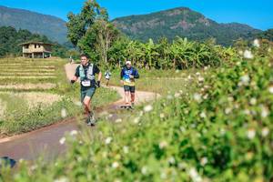 BIB: 
                            <button type="button" onclick="openModal(26693128)" class="btn btn-primary btn-sm float-right btn-popup" data-toggle="modal" data-target=".modal-high-quality">
                        <i class="fas fa-shopping-cart"></i> Add to Cart
                    </button>
                                            <button type="button" onclick="isThisMe(26693128, true)" class="btn btn-success btn-sm float-right btn-popup btn-isme hidden" data-toggle="tooltip" data-placement="bottom" title="นี่คือรูปของคุณใช่ไหม คลิกที่นี่เพื่อเอาเข้าอัลบั้ม">
                        <i class="fas fa-plus"></i> Add to album
                    </button>
                    <button type="button" onclick="isThisMe(26693128, false)" class="btn btn-warning btn-sm float-right btn-popup btn-isnotme hidden">
                        <i class="fas fa-ban"></i> Remove from album
                    </button>