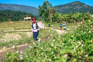 BIB: 
                            <button type="button" onclick="openModal(26680401)" class="btn btn-primary btn-sm float-right btn-popup" data-toggle="modal" data-target=".modal-high-quality">
                        <i class="fas fa-shopping-cart"></i> Add to Cart
                    </button>
                                            <button type="button" onclick="isThisMe(26680401, true)" class="btn btn-success btn-sm float-right btn-popup btn-isme hidden" data-toggle="tooltip" data-placement="bottom" title="นี่คือรูปของคุณใช่ไหม คลิกที่นี่เพื่อเอาเข้าอัลบั้ม">
                        <i class="fas fa-plus"></i> Add to album
                    </button>
                    <button type="button" onclick="isThisMe(26680401, false)" class="btn btn-warning btn-sm float-right btn-popup btn-isnotme hidden">
                        <i class="fas fa-ban"></i> Remove from album
                    </button>