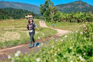 BIB: 
                            <button type="button" onclick="openModal(26693090)" class="btn btn-primary btn-sm float-right btn-popup" data-toggle="modal" data-target=".modal-high-quality">
                        <i class="fas fa-shopping-cart"></i> Add to Cart
                    </button>
                                            <button type="button" onclick="isThisMe(26693090, true)" class="btn btn-success btn-sm float-right btn-popup btn-isme hidden" data-toggle="tooltip" data-placement="bottom" title="นี่คือรูปของคุณใช่ไหม คลิกที่นี่เพื่อเอาเข้าอัลบั้ม">
                        <i class="fas fa-plus"></i> Add to album
                    </button>
                    <button type="button" onclick="isThisMe(26693090, false)" class="btn btn-warning btn-sm float-right btn-popup btn-isnotme hidden">
                        <i class="fas fa-ban"></i> Remove from album
                    </button>