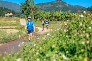 BIB: 
                            <button type="button" onclick="openModal(26693118)" class="btn btn-primary btn-sm float-right btn-popup" data-toggle="modal" data-target=".modal-high-quality">
                        <i class="fas fa-shopping-cart"></i> Add to Cart
                    </button>
                                            <button type="button" onclick="isThisMe(26693118, true)" class="btn btn-success btn-sm float-right btn-popup btn-isme hidden" data-toggle="tooltip" data-placement="bottom" title="นี่คือรูปของคุณใช่ไหม คลิกที่นี่เพื่อเอาเข้าอัลบั้ม">
                        <i class="fas fa-plus"></i> Add to album
                    </button>
                    <button type="button" onclick="isThisMe(26693118, false)" class="btn btn-warning btn-sm float-right btn-popup btn-isnotme hidden">
                        <i class="fas fa-ban"></i> Remove from album
                    </button>