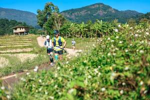 BIB: 
                            <button type="button" onclick="openModal(26680680)" class="btn btn-primary btn-sm float-right btn-popup" data-toggle="modal" data-target=".modal-high-quality">
                        <i class="fas fa-shopping-cart"></i> Add to Cart
                    </button>
                                            <button type="button" onclick="isThisMe(26680680, true)" class="btn btn-success btn-sm float-right btn-popup btn-isme hidden" data-toggle="tooltip" data-placement="bottom" title="นี่คือรูปของคุณใช่ไหม คลิกที่นี่เพื่อเอาเข้าอัลบั้ม">
                        <i class="fas fa-plus"></i> Add to album
                    </button>
                    <button type="button" onclick="isThisMe(26680680, false)" class="btn btn-warning btn-sm float-right btn-popup btn-isnotme hidden">
                        <i class="fas fa-ban"></i> Remove from album
                    </button>