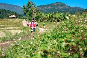 BIB: 
                            <button type="button" onclick="openModal(26680659)" class="btn btn-primary btn-sm float-right btn-popup" data-toggle="modal" data-target=".modal-high-quality">
                        <i class="fas fa-shopping-cart"></i> Add to Cart
                    </button>
                                            <button type="button" onclick="isThisMe(26680659, true)" class="btn btn-success btn-sm float-right btn-popup btn-isme hidden" data-toggle="tooltip" data-placement="bottom" title="นี่คือรูปของคุณใช่ไหม คลิกที่นี่เพื่อเอาเข้าอัลบั้ม">
                        <i class="fas fa-plus"></i> Add to album
                    </button>
                    <button type="button" onclick="isThisMe(26680659, false)" class="btn btn-warning btn-sm float-right btn-popup btn-isnotme hidden">
                        <i class="fas fa-ban"></i> Remove from album
                    </button>