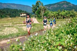 BIB: 
                            <button type="button" onclick="openModal(26680513)" class="btn btn-primary btn-sm float-right btn-popup" data-toggle="modal" data-target=".modal-high-quality">
                        <i class="fas fa-shopping-cart"></i> Add to Cart
                    </button>
                                            <button type="button" onclick="isThisMe(26680513, true)" class="btn btn-success btn-sm float-right btn-popup btn-isme hidden" data-toggle="tooltip" data-placement="bottom" title="นี่คือรูปของคุณใช่ไหม คลิกที่นี่เพื่อเอาเข้าอัลบั้ม">
                        <i class="fas fa-plus"></i> Add to album
                    </button>
                    <button type="button" onclick="isThisMe(26680513, false)" class="btn btn-warning btn-sm float-right btn-popup btn-isnotme hidden">
                        <i class="fas fa-ban"></i> Remove from album
                    </button>