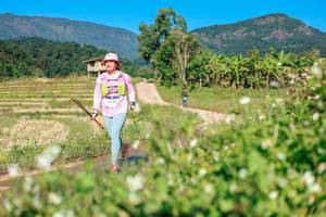 BIB: 
                            <button type="button" onclick="openModal(26693035)" class="btn btn-primary btn-sm float-right btn-popup" data-toggle="modal" data-target=".modal-high-quality">
                        <i class="fas fa-shopping-cart"></i> Add to Cart
                    </button>
                                            <button type="button" onclick="isThisMe(26693035, true)" class="btn btn-success btn-sm float-right btn-popup btn-isme hidden" data-toggle="tooltip" data-placement="bottom" title="นี่คือรูปของคุณใช่ไหม คลิกที่นี่เพื่อเอาเข้าอัลบั้ม">
                        <i class="fas fa-plus"></i> Add to album
                    </button>
                    <button type="button" onclick="isThisMe(26693035, false)" class="btn btn-warning btn-sm float-right btn-popup btn-isnotme hidden">
                        <i class="fas fa-ban"></i> Remove from album
                    </button>