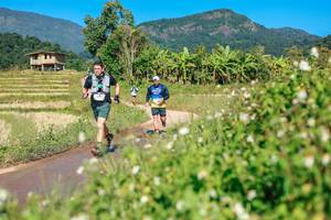 BIB: 
                            <button type="button" onclick="openModal(26693138)" class="btn btn-primary btn-sm float-right btn-popup" data-toggle="modal" data-target=".modal-high-quality">
                        <i class="fas fa-shopping-cart"></i> Add to Cart
                    </button>
                                            <button type="button" onclick="isThisMe(26693138, true)" class="btn btn-success btn-sm float-right btn-popup btn-isme hidden" data-toggle="tooltip" data-placement="bottom" title="นี่คือรูปของคุณใช่ไหม คลิกที่นี่เพื่อเอาเข้าอัลบั้ม">
                        <i class="fas fa-plus"></i> Add to album
                    </button>
                    <button type="button" onclick="isThisMe(26693138, false)" class="btn btn-warning btn-sm float-right btn-popup btn-isnotme hidden">
                        <i class="fas fa-ban"></i> Remove from album
                    </button>