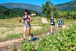 BIB: 
                            <button type="button" onclick="openModal(26680518)" class="btn btn-primary btn-sm float-right btn-popup" data-toggle="modal" data-target=".modal-high-quality">
                        <i class="fas fa-shopping-cart"></i> Add to Cart
                    </button>
                                            <button type="button" onclick="isThisMe(26680518, true)" class="btn btn-success btn-sm float-right btn-popup btn-isme hidden" data-toggle="tooltip" data-placement="bottom" title="นี่คือรูปของคุณใช่ไหม คลิกที่นี่เพื่อเอาเข้าอัลบั้ม">
                        <i class="fas fa-plus"></i> Add to album
                    </button>
                    <button type="button" onclick="isThisMe(26680518, false)" class="btn btn-warning btn-sm float-right btn-popup btn-isnotme hidden">
                        <i class="fas fa-ban"></i> Remove from album
                    </button>