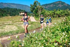 BIB: 
                            <button type="button" onclick="openModal(26680515)" class="btn btn-primary btn-sm float-right btn-popup" data-toggle="modal" data-target=".modal-high-quality">
                        <i class="fas fa-shopping-cart"></i> Add to Cart
                    </button>
                                            <button type="button" onclick="isThisMe(26680515, true)" class="btn btn-success btn-sm float-right btn-popup btn-isme hidden" data-toggle="tooltip" data-placement="bottom" title="นี่คือรูปของคุณใช่ไหม คลิกที่นี่เพื่อเอาเข้าอัลบั้ม">
                        <i class="fas fa-plus"></i> Add to album
                    </button>
                    <button type="button" onclick="isThisMe(26680515, false)" class="btn btn-warning btn-sm float-right btn-popup btn-isnotme hidden">
                        <i class="fas fa-ban"></i> Remove from album
                    </button>