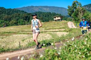 BIB: 
                            <button type="button" onclick="openModal(26680569)" class="btn btn-primary btn-sm float-right btn-popup" data-toggle="modal" data-target=".modal-high-quality">
                        <i class="fas fa-shopping-cart"></i> Add to Cart
                    </button>
                                            <button type="button" onclick="isThisMe(26680569, true)" class="btn btn-success btn-sm float-right btn-popup btn-isme hidden" data-toggle="tooltip" data-placement="bottom" title="นี่คือรูปของคุณใช่ไหม คลิกที่นี่เพื่อเอาเข้าอัลบั้ม">
                        <i class="fas fa-plus"></i> Add to album
                    </button>
                    <button type="button" onclick="isThisMe(26680569, false)" class="btn btn-warning btn-sm float-right btn-popup btn-isnotme hidden">
                        <i class="fas fa-ban"></i> Remove from album
                    </button>