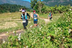 BIB: 
                            <button type="button" onclick="openModal(26692704)" class="btn btn-primary btn-sm float-right btn-popup" data-toggle="modal" data-target=".modal-high-quality">
                        <i class="fas fa-shopping-cart"></i> Add to Cart
                    </button>
                                            <button type="button" onclick="isThisMe(26692704, true)" class="btn btn-success btn-sm float-right btn-popup btn-isme hidden" data-toggle="tooltip" data-placement="bottom" title="นี่คือรูปของคุณใช่ไหม คลิกที่นี่เพื่อเอาเข้าอัลบั้ม">
                        <i class="fas fa-plus"></i> Add to album
                    </button>
                    <button type="button" onclick="isThisMe(26692704, false)" class="btn btn-warning btn-sm float-right btn-popup btn-isnotme hidden">
                        <i class="fas fa-ban"></i> Remove from album
                    </button>