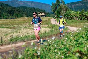 BIB: 
                            <button type="button" onclick="openModal(26680136)" class="btn btn-primary btn-sm float-right btn-popup" data-toggle="modal" data-target=".modal-high-quality">
                        <i class="fas fa-shopping-cart"></i> Add to Cart
                    </button>
                                            <button type="button" onclick="isThisMe(26680136, true)" class="btn btn-success btn-sm float-right btn-popup btn-isme hidden" data-toggle="tooltip" data-placement="bottom" title="นี่คือรูปของคุณใช่ไหม คลิกที่นี่เพื่อเอาเข้าอัลบั้ม">
                        <i class="fas fa-plus"></i> Add to album
                    </button>
                    <button type="button" onclick="isThisMe(26680136, false)" class="btn btn-warning btn-sm float-right btn-popup btn-isnotme hidden">
                        <i class="fas fa-ban"></i> Remove from album
                    </button>