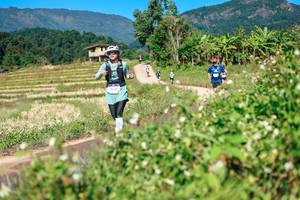 BIB: 
                            <button type="button" onclick="openModal(26680419)" class="btn btn-primary btn-sm float-right btn-popup" data-toggle="modal" data-target=".modal-high-quality">
                        <i class="fas fa-shopping-cart"></i> Add to Cart
                    </button>
                                            <button type="button" onclick="isThisMe(26680419, true)" class="btn btn-success btn-sm float-right btn-popup btn-isme hidden" data-toggle="tooltip" data-placement="bottom" title="นี่คือรูปของคุณใช่ไหม คลิกที่นี่เพื่อเอาเข้าอัลบั้ม">
                        <i class="fas fa-plus"></i> Add to album
                    </button>
                    <button type="button" onclick="isThisMe(26680419, false)" class="btn btn-warning btn-sm float-right btn-popup btn-isnotme hidden">
                        <i class="fas fa-ban"></i> Remove from album
                    </button>