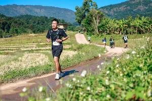 BIB: 
                            <button type="button" onclick="openModal(26680199)" class="btn btn-primary btn-sm float-right btn-popup" data-toggle="modal" data-target=".modal-high-quality">
                        <i class="fas fa-shopping-cart"></i> Add to Cart
                    </button>
                                            <button type="button" onclick="isThisMe(26680199, true)" class="btn btn-success btn-sm float-right btn-popup btn-isme hidden" data-toggle="tooltip" data-placement="bottom" title="นี่คือรูปของคุณใช่ไหม คลิกที่นี่เพื่อเอาเข้าอัลบั้ม">
                        <i class="fas fa-plus"></i> Add to album
                    </button>
                    <button type="button" onclick="isThisMe(26680199, false)" class="btn btn-warning btn-sm float-right btn-popup btn-isnotme hidden">
                        <i class="fas fa-ban"></i> Remove from album
                    </button>