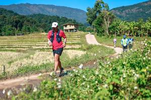 BIB: 
                            <button type="button" onclick="openModal(26680103)" class="btn btn-primary btn-sm float-right btn-popup" data-toggle="modal" data-target=".modal-high-quality">
                        <i class="fas fa-shopping-cart"></i> Add to Cart
                    </button>
                                            <button type="button" onclick="isThisMe(26680103, true)" class="btn btn-success btn-sm float-right btn-popup btn-isme hidden" data-toggle="tooltip" data-placement="bottom" title="นี่คือรูปของคุณใช่ไหม คลิกที่นี่เพื่อเอาเข้าอัลบั้ม">
                        <i class="fas fa-plus"></i> Add to album
                    </button>
                    <button type="button" onclick="isThisMe(26680103, false)" class="btn btn-warning btn-sm float-right btn-popup btn-isnotme hidden">
                        <i class="fas fa-ban"></i> Remove from album
                    </button>