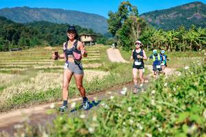 BIB: 
                            <button type="button" onclick="openModal(26680516)" class="btn btn-primary btn-sm float-right btn-popup" data-toggle="modal" data-target=".modal-high-quality">
                        <i class="fas fa-shopping-cart"></i> Add to Cart
                    </button>
                                            <button type="button" onclick="isThisMe(26680516, true)" class="btn btn-success btn-sm float-right btn-popup btn-isme hidden" data-toggle="tooltip" data-placement="bottom" title="นี่คือรูปของคุณใช่ไหม คลิกที่นี่เพื่อเอาเข้าอัลบั้ม">
                        <i class="fas fa-plus"></i> Add to album
                    </button>
                    <button type="button" onclick="isThisMe(26680516, false)" class="btn btn-warning btn-sm float-right btn-popup btn-isnotme hidden">
                        <i class="fas fa-ban"></i> Remove from album
                    </button>