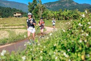 BIB: 
                            <button type="button" onclick="openModal(26693202)" class="btn btn-primary btn-sm float-right btn-popup" data-toggle="modal" data-target=".modal-high-quality">
                        <i class="fas fa-shopping-cart"></i> Add to Cart
                    </button>
                                            <button type="button" onclick="isThisMe(26693202, true)" class="btn btn-success btn-sm float-right btn-popup btn-isme hidden" data-toggle="tooltip" data-placement="bottom" title="นี่คือรูปของคุณใช่ไหม คลิกที่นี่เพื่อเอาเข้าอัลบั้ม">
                        <i class="fas fa-plus"></i> Add to album
                    </button>
                    <button type="button" onclick="isThisMe(26693202, false)" class="btn btn-warning btn-sm float-right btn-popup btn-isnotme hidden">
                        <i class="fas fa-ban"></i> Remove from album
                    </button>