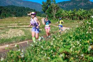 BIB: 
                            <button type="button" onclick="openModal(26680127)" class="btn btn-primary btn-sm float-right btn-popup" data-toggle="modal" data-target=".modal-high-quality">
                        <i class="fas fa-shopping-cart"></i> Add to Cart
                    </button>
                                            <button type="button" onclick="isThisMe(26680127, true)" class="btn btn-success btn-sm float-right btn-popup btn-isme hidden" data-toggle="tooltip" data-placement="bottom" title="นี่คือรูปของคุณใช่ไหม คลิกที่นี่เพื่อเอาเข้าอัลบั้ม">
                        <i class="fas fa-plus"></i> Add to album
                    </button>
                    <button type="button" onclick="isThisMe(26680127, false)" class="btn btn-warning btn-sm float-right btn-popup btn-isnotme hidden">
                        <i class="fas fa-ban"></i> Remove from album
                    </button>