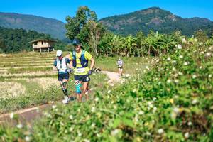 BIB: 
                            <button type="button" onclick="openModal(26680678)" class="btn btn-primary btn-sm float-right btn-popup" data-toggle="modal" data-target=".modal-high-quality">
                        <i class="fas fa-shopping-cart"></i> Add to Cart
                    </button>
                                            <button type="button" onclick="isThisMe(26680678, true)" class="btn btn-success btn-sm float-right btn-popup btn-isme hidden" data-toggle="tooltip" data-placement="bottom" title="นี่คือรูปของคุณใช่ไหม คลิกที่นี่เพื่อเอาเข้าอัลบั้ม">
                        <i class="fas fa-plus"></i> Add to album
                    </button>
                    <button type="button" onclick="isThisMe(26680678, false)" class="btn btn-warning btn-sm float-right btn-popup btn-isnotme hidden">
                        <i class="fas fa-ban"></i> Remove from album
                    </button>