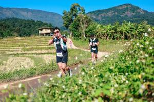 BIB: 
                            <button type="button" onclick="openModal(26680633)" class="btn btn-primary btn-sm float-right btn-popup" data-toggle="modal" data-target=".modal-high-quality">
                        <i class="fas fa-shopping-cart"></i> Add to Cart
                    </button>
                                            <button type="button" onclick="isThisMe(26680633, true)" class="btn btn-success btn-sm float-right btn-popup btn-isme hidden" data-toggle="tooltip" data-placement="bottom" title="นี่คือรูปของคุณใช่ไหม คลิกที่นี่เพื่อเอาเข้าอัลบั้ม">
                        <i class="fas fa-plus"></i> Add to album
                    </button>
                    <button type="button" onclick="isThisMe(26680633, false)" class="btn btn-warning btn-sm float-right btn-popup btn-isnotme hidden">
                        <i class="fas fa-ban"></i> Remove from album
                    </button>