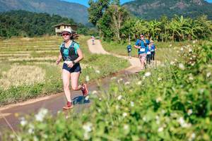 BIB: 
                            <button type="button" onclick="openModal(26693326)" class="btn btn-primary btn-sm float-right btn-popup" data-toggle="modal" data-target=".modal-high-quality">
                        <i class="fas fa-shopping-cart"></i> Add to Cart
                    </button>
                                            <button type="button" onclick="isThisMe(26693326, true)" class="btn btn-success btn-sm float-right btn-popup btn-isme hidden" data-toggle="tooltip" data-placement="bottom" title="นี่คือรูปของคุณใช่ไหม คลิกที่นี่เพื่อเอาเข้าอัลบั้ม">
                        <i class="fas fa-plus"></i> Add to album
                    </button>
                    <button type="button" onclick="isThisMe(26693326, false)" class="btn btn-warning btn-sm float-right btn-popup btn-isnotme hidden">
                        <i class="fas fa-ban"></i> Remove from album
                    </button>