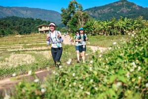 BIB: 
                            <button type="button" onclick="openModal(26680744)" class="btn btn-primary btn-sm float-right btn-popup" data-toggle="modal" data-target=".modal-high-quality">
                        <i class="fas fa-shopping-cart"></i> Add to Cart
                    </button>
                                            <button type="button" onclick="isThisMe(26680744, true)" class="btn btn-success btn-sm float-right btn-popup btn-isme hidden" data-toggle="tooltip" data-placement="bottom" title="นี่คือรูปของคุณใช่ไหม คลิกที่นี่เพื่อเอาเข้าอัลบั้ม">
                        <i class="fas fa-plus"></i> Add to album
                    </button>
                    <button type="button" onclick="isThisMe(26680744, false)" class="btn btn-warning btn-sm float-right btn-popup btn-isnotme hidden">
                        <i class="fas fa-ban"></i> Remove from album
                    </button>