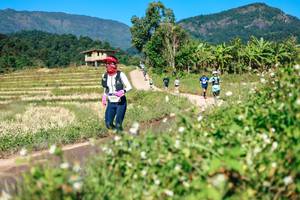 BIB: 
                            <button type="button" onclick="openModal(26680404)" class="btn btn-primary btn-sm float-right btn-popup" data-toggle="modal" data-target=".modal-high-quality">
                        <i class="fas fa-shopping-cart"></i> Add to Cart
                    </button>
                                            <button type="button" onclick="isThisMe(26680404, true)" class="btn btn-success btn-sm float-right btn-popup btn-isme hidden" data-toggle="tooltip" data-placement="bottom" title="นี่คือรูปของคุณใช่ไหม คลิกที่นี่เพื่อเอาเข้าอัลบั้ม">
                        <i class="fas fa-plus"></i> Add to album
                    </button>
                    <button type="button" onclick="isThisMe(26680404, false)" class="btn btn-warning btn-sm float-right btn-popup btn-isnotme hidden">
                        <i class="fas fa-ban"></i> Remove from album
                    </button>