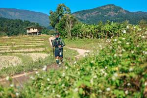 BIB: 
                            <button type="button" onclick="openModal(26680723)" class="btn btn-primary btn-sm float-right btn-popup" data-toggle="modal" data-target=".modal-high-quality">
                        <i class="fas fa-shopping-cart"></i> Add to Cart
                    </button>
                                            <button type="button" onclick="isThisMe(26680723, true)" class="btn btn-success btn-sm float-right btn-popup btn-isme hidden" data-toggle="tooltip" data-placement="bottom" title="นี่คือรูปของคุณใช่ไหม คลิกที่นี่เพื่อเอาเข้าอัลบั้ม">
                        <i class="fas fa-plus"></i> Add to album
                    </button>
                    <button type="button" onclick="isThisMe(26680723, false)" class="btn btn-warning btn-sm float-right btn-popup btn-isnotme hidden">
                        <i class="fas fa-ban"></i> Remove from album
                    </button>