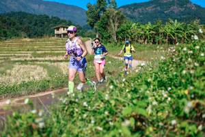 BIB: 
                            <button type="button" onclick="openModal(26680123)" class="btn btn-primary btn-sm float-right btn-popup" data-toggle="modal" data-target=".modal-high-quality">
                        <i class="fas fa-shopping-cart"></i> Add to Cart
                    </button>
                                            <button type="button" onclick="isThisMe(26680123, true)" class="btn btn-success btn-sm float-right btn-popup btn-isme hidden" data-toggle="tooltip" data-placement="bottom" title="นี่คือรูปของคุณใช่ไหม คลิกที่นี่เพื่อเอาเข้าอัลบั้ม">
                        <i class="fas fa-plus"></i> Add to album
                    </button>
                    <button type="button" onclick="isThisMe(26680123, false)" class="btn btn-warning btn-sm float-right btn-popup btn-isnotme hidden">
                        <i class="fas fa-ban"></i> Remove from album
                    </button>