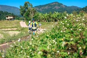 BIB: 
                            <button type="button" onclick="openModal(26680677)" class="btn btn-primary btn-sm float-right btn-popup" data-toggle="modal" data-target=".modal-high-quality">
                        <i class="fas fa-shopping-cart"></i> Add to Cart
                    </button>
                                            <button type="button" onclick="isThisMe(26680677, true)" class="btn btn-success btn-sm float-right btn-popup btn-isme hidden" data-toggle="tooltip" data-placement="bottom" title="นี่คือรูปของคุณใช่ไหม คลิกที่นี่เพื่อเอาเข้าอัลบั้ม">
                        <i class="fas fa-plus"></i> Add to album
                    </button>
                    <button type="button" onclick="isThisMe(26680677, false)" class="btn btn-warning btn-sm float-right btn-popup btn-isnotme hidden">
                        <i class="fas fa-ban"></i> Remove from album
                    </button>