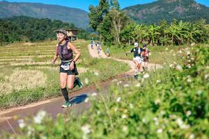 BIB: 
                            <button type="button" onclick="openModal(26693183)" class="btn btn-primary btn-sm float-right btn-popup" data-toggle="modal" data-target=".modal-high-quality">
                        <i class="fas fa-shopping-cart"></i> Add to Cart
                    </button>
                                            <button type="button" onclick="isThisMe(26693183, true)" class="btn btn-success btn-sm float-right btn-popup btn-isme hidden" data-toggle="tooltip" data-placement="bottom" title="นี่คือรูปของคุณใช่ไหม คลิกที่นี่เพื่อเอาเข้าอัลบั้ม">
                        <i class="fas fa-plus"></i> Add to album
                    </button>
                    <button type="button" onclick="isThisMe(26693183, false)" class="btn btn-warning btn-sm float-right btn-popup btn-isnotme hidden">
                        <i class="fas fa-ban"></i> Remove from album
                    </button>