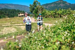 BIB: 
                            <button type="button" onclick="openModal(26680735)" class="btn btn-primary btn-sm float-right btn-popup" data-toggle="modal" data-target=".modal-high-quality">
                        <i class="fas fa-shopping-cart"></i> Add to Cart
                    </button>
                                            <button type="button" onclick="isThisMe(26680735, true)" class="btn btn-success btn-sm float-right btn-popup btn-isme hidden" data-toggle="tooltip" data-placement="bottom" title="นี่คือรูปของคุณใช่ไหม คลิกที่นี่เพื่อเอาเข้าอัลบั้ม">
                        <i class="fas fa-plus"></i> Add to album
                    </button>
                    <button type="button" onclick="isThisMe(26680735, false)" class="btn btn-warning btn-sm float-right btn-popup btn-isnotme hidden">
                        <i class="fas fa-ban"></i> Remove from album
                    </button>