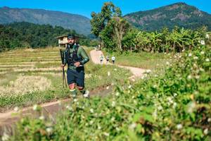 BIB: 
                            <button type="button" onclick="openModal(26680728)" class="btn btn-primary btn-sm float-right btn-popup" data-toggle="modal" data-target=".modal-high-quality">
                        <i class="fas fa-shopping-cart"></i> Add to Cart
                    </button>
                                            <button type="button" onclick="isThisMe(26680728, true)" class="btn btn-success btn-sm float-right btn-popup btn-isme hidden" data-toggle="tooltip" data-placement="bottom" title="นี่คือรูปของคุณใช่ไหม คลิกที่นี่เพื่อเอาเข้าอัลบั้ม">
                        <i class="fas fa-plus"></i> Add to album
                    </button>
                    <button type="button" onclick="isThisMe(26680728, false)" class="btn btn-warning btn-sm float-right btn-popup btn-isnotme hidden">
                        <i class="fas fa-ban"></i> Remove from album
                    </button>