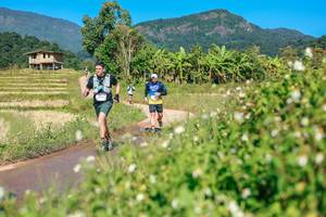 BIB: 
                            <button type="button" onclick="openModal(26693136)" class="btn btn-primary btn-sm float-right btn-popup" data-toggle="modal" data-target=".modal-high-quality">
                        <i class="fas fa-shopping-cart"></i> Add to Cart
                    </button>
                                            <button type="button" onclick="isThisMe(26693136, true)" class="btn btn-success btn-sm float-right btn-popup btn-isme hidden" data-toggle="tooltip" data-placement="bottom" title="นี่คือรูปของคุณใช่ไหม คลิกที่นี่เพื่อเอาเข้าอัลบั้ม">
                        <i class="fas fa-plus"></i> Add to album
                    </button>
                    <button type="button" onclick="isThisMe(26693136, false)" class="btn btn-warning btn-sm float-right btn-popup btn-isnotme hidden">
                        <i class="fas fa-ban"></i> Remove from album
                    </button>