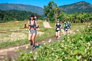 BIB: 
                            <button type="button" onclick="openModal(26680521)" class="btn btn-primary btn-sm float-right btn-popup" data-toggle="modal" data-target=".modal-high-quality">
                        <i class="fas fa-shopping-cart"></i> Add to Cart
                    </button>
                                            <button type="button" onclick="isThisMe(26680521, true)" class="btn btn-success btn-sm float-right btn-popup btn-isme hidden" data-toggle="tooltip" data-placement="bottom" title="นี่คือรูปของคุณใช่ไหม คลิกที่นี่เพื่อเอาเข้าอัลบั้ม">
                        <i class="fas fa-plus"></i> Add to album
                    </button>
                    <button type="button" onclick="isThisMe(26680521, false)" class="btn btn-warning btn-sm float-right btn-popup btn-isnotme hidden">
                        <i class="fas fa-ban"></i> Remove from album
                    </button>