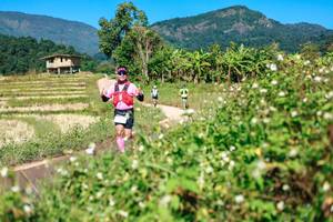 BIB: 
                            <button type="button" onclick="openModal(26680660)" class="btn btn-primary btn-sm float-right btn-popup" data-toggle="modal" data-target=".modal-high-quality">
                        <i class="fas fa-shopping-cart"></i> Add to Cart
                    </button>
                                            <button type="button" onclick="isThisMe(26680660, true)" class="btn btn-success btn-sm float-right btn-popup btn-isme hidden" data-toggle="tooltip" data-placement="bottom" title="นี่คือรูปของคุณใช่ไหม คลิกที่นี่เพื่อเอาเข้าอัลบั้ม">
                        <i class="fas fa-plus"></i> Add to album
                    </button>
                    <button type="button" onclick="isThisMe(26680660, false)" class="btn btn-warning btn-sm float-right btn-popup btn-isnotme hidden">
                        <i class="fas fa-ban"></i> Remove from album
                    </button>