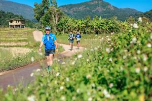 BIB: 
                            <button type="button" onclick="openModal(26693117)" class="btn btn-primary btn-sm float-right btn-popup" data-toggle="modal" data-target=".modal-high-quality">
                        <i class="fas fa-shopping-cart"></i> Add to Cart
                    </button>
                                            <button type="button" onclick="isThisMe(26693117, true)" class="btn btn-success btn-sm float-right btn-popup btn-isme hidden" data-toggle="tooltip" data-placement="bottom" title="นี่คือรูปของคุณใช่ไหม คลิกที่นี่เพื่อเอาเข้าอัลบั้ม">
                        <i class="fas fa-plus"></i> Add to album
                    </button>
                    <button type="button" onclick="isThisMe(26693117, false)" class="btn btn-warning btn-sm float-right btn-popup btn-isnotme hidden">
                        <i class="fas fa-ban"></i> Remove from album
                    </button>